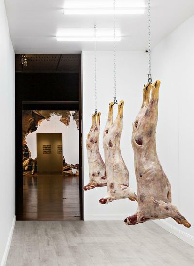 From carcasses to ‘westie car culture’: scenes from the 2022 Adelaide biennial