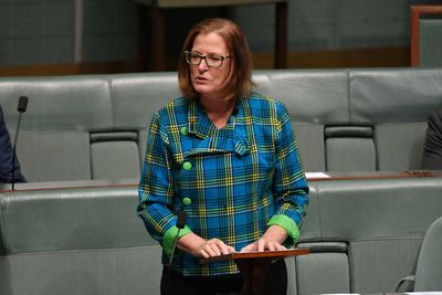 Outgoing Parramatta MP disappointed by Labor plan to parachute Andrew Charlton into her seat