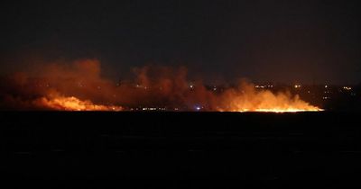 'No chance' of wildlife returning after Parkgate wildfire