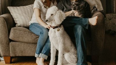 When a couple separates, the fate of the family pet can be a contentious issue. Even the courts don't make it easy