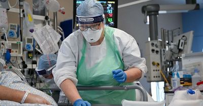 UK Covid cases more than double in a month as deaths rise by 22% to 250