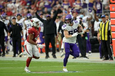 Cardinals sign former Vikings LB Nick Vigil