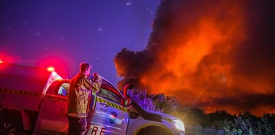 Coming of age: research shows old forests are 3 times less flammable than those just burned
