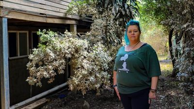 Family returns to 'shell of a home' in Goodna to face another painful rebuild after flooding