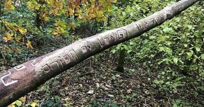 Drug dealer's gang busted after he carved his nickname and address into a tree