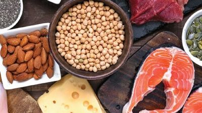 Non-traditional protein farming offers food for thought, CSIRO report suggests