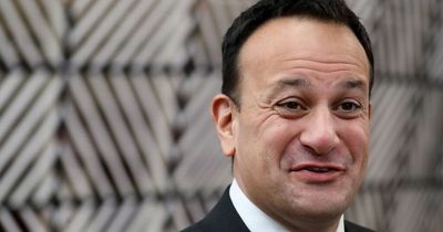 Leo Varadkar and Michael Healy Rae exchange 'looking down your nose at me' jibes in heated Dail row