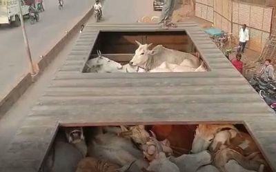 Four held in U.P. after row over alleged illegal cow slaughter