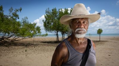 NT traditional owners take legal action over Santos's Barossa gas project north of Darwin