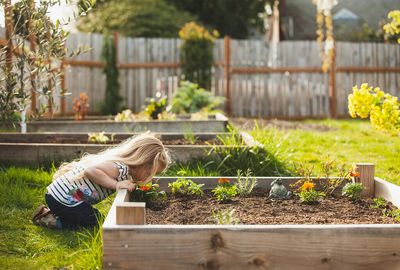 Are doomsday gardens here to stay?