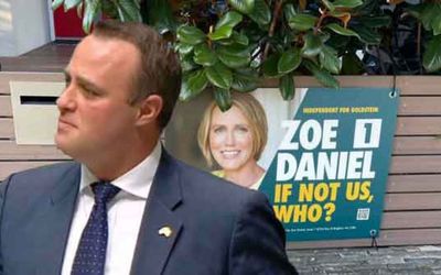 Independent wins court bid to display election signs