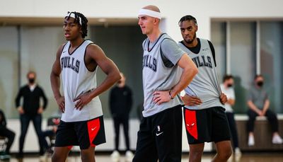 Changing of the guard might be just what the Bulls need for stretch run