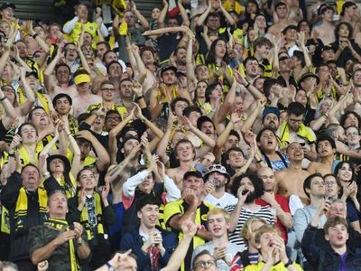 Phoenix to return to NZ in ALM season