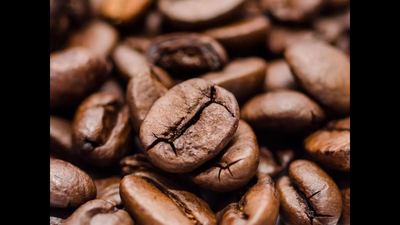 Karnataka govt subsidises power for coffee growers