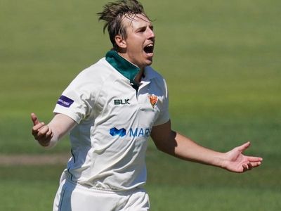 Tigers bite in vital Shield clash v Bulls