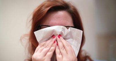 Warmer weather may lead to rise in hay fever symptoms, survey suggests