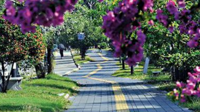 Kochi: Panampilly Nagar shows the way