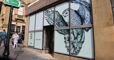 Hibou Blanc owners reveal plans for second venue on Newcastle's Grey Street with jobs up for grabs