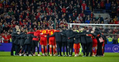 Cardiff City Stadium has become a fortress in which Wales will bid to end 64 years of agony