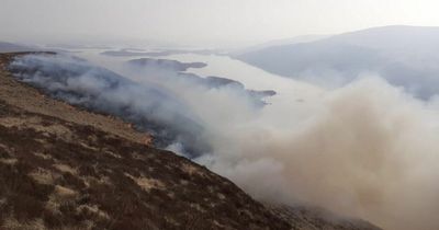 Ben Lomond wildfire rages on after blaze started by 'dropped cigarette'
