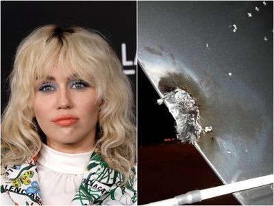 Miley Cyrus cancels festival appearance after jet is hit by lightning