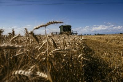 Ukraine war rattles EU green farming plan