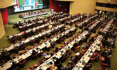Pressure grows for deal to save nature at crunch talks in Geneva