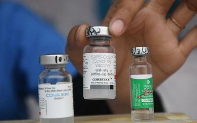 Committees on medicines, devices should continue till COVID-19 is over: report