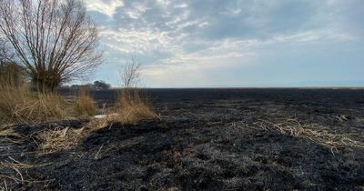 Fire-scorched nature reserve could take two years to recover from Parkgate fire