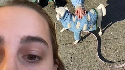 VIDEO: Woman Moved To Tears After Encountering Dog In Street Wearing The Same Sweater As Her