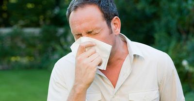 How to tell difference between hay fever and Covid as warm weather sparks surge in symptoms