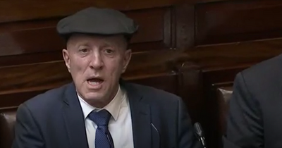 Michael Healy-Rae defends 'airy fairy' comments after homophobia claims as Leo Varadkar calls for withdrawal