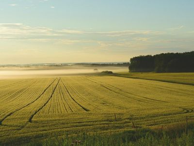 [Private Deal Alert] FarmTogether Launches Its Sustainable Farmland Fund - Expanding Access to Safe-Haven Asset