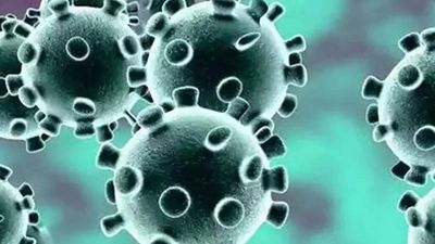 Kerala records 702 fresh Covid-19 cases, 61 deaths