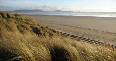 The top stories from Carmarthenshire right now