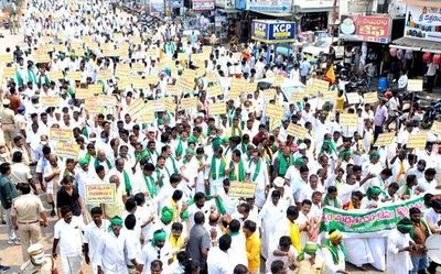 Andhra Pradesh: TDP takes up cudgels for distressed paddy growers in Nellore