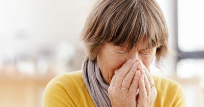 Drivers could face points on licence and £5000 fine over hay fever symptoms