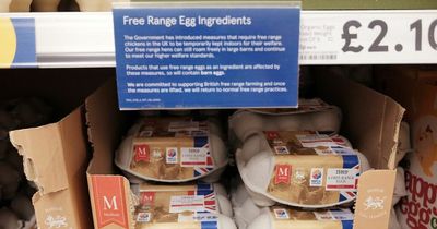 Bird Flu: The reason you can't find free range eggs in UK supermarkets