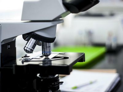 What Is Zentek And What's Going On With Its Stock Today?