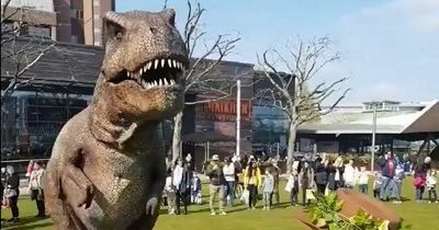Moving dinosaurs coming to Royal Quays in North Shields - and children can see them for free