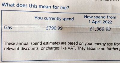 Fed-up Brits show huge energy bill increases - as Martin Lewis says his head 'sunk'