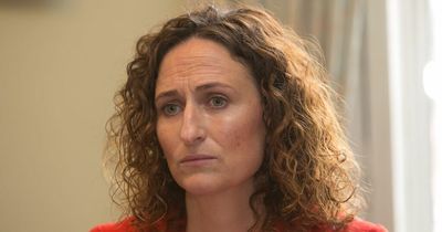 Sinn Fein Senator Lynn Boylan called 'sick w***e' in disgusting email as gardai set to get involved
