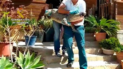 VIDEO: Spanish Police Seize 139 Dangerous Animals From Dead Man’s House