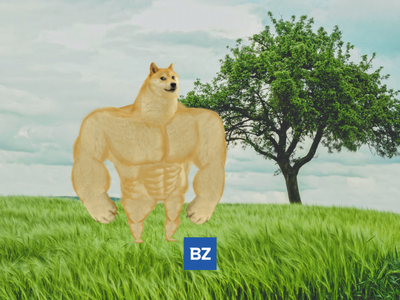 Dogecoin Up More Than 3% In 24 hours