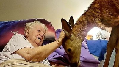 Kindness becomes 'infectious' during the COVID-19 pandemic, thanks to the power of storytelling