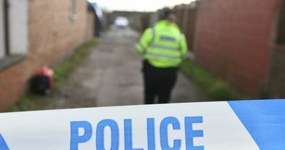 Tragedy as woman hit by her own car dies