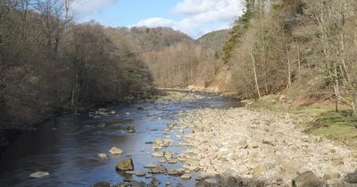 Northumberland beauty spot named one of the UK's top picnic spots