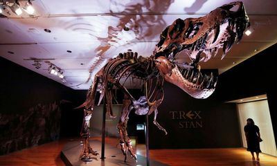 Mystery owner of Stan the T rex finally revealed following $31.8m auction