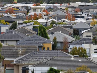 Federal budget improves in red-hot economy