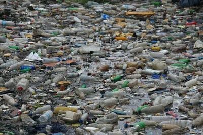 Scientists uncover the secrets of a plastic-destroying enzyme